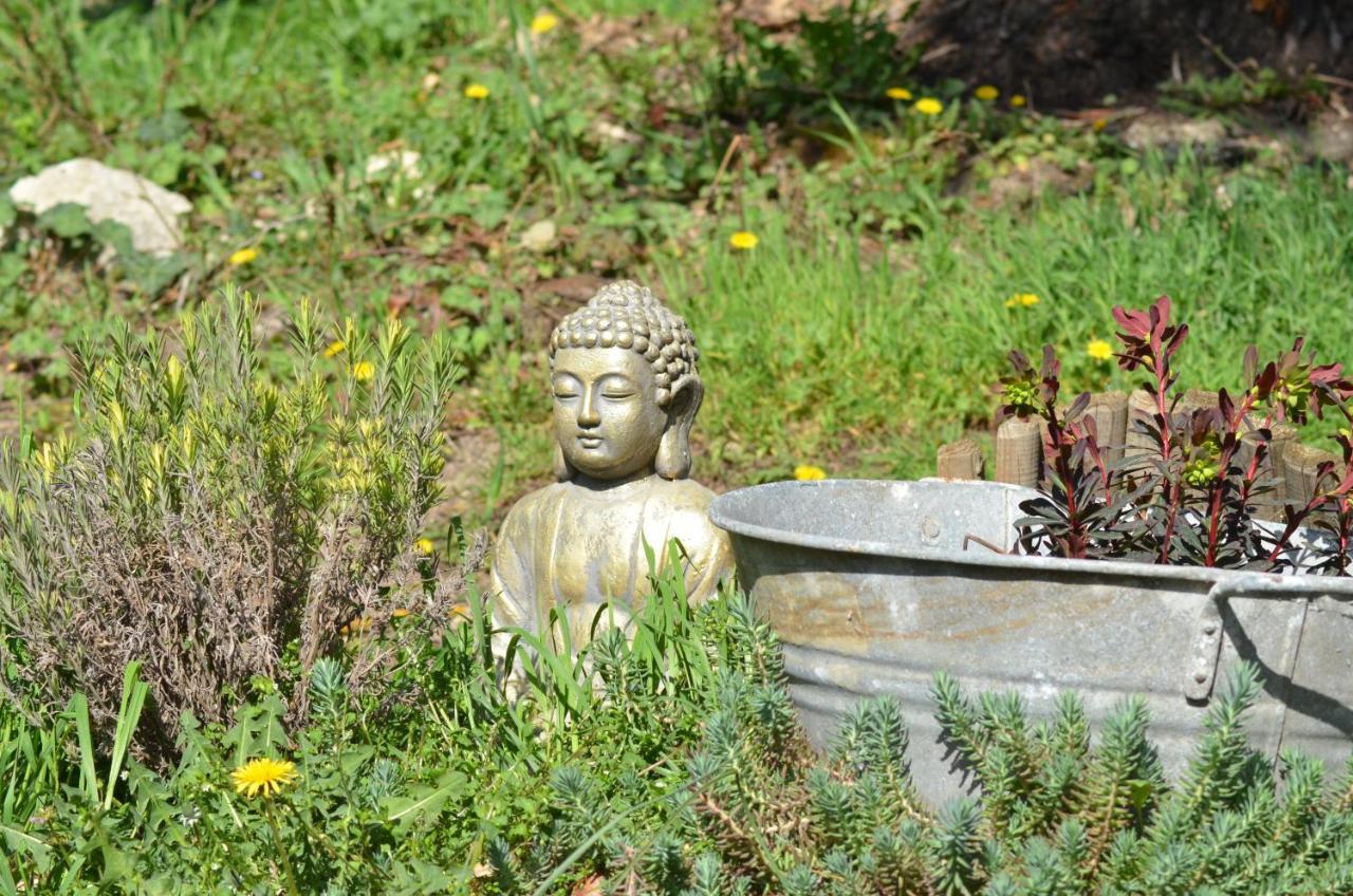 Le Domaine Armonia Otel Saulcet Dış mekan fotoğraf